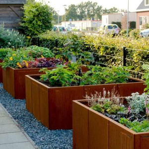 Cortenstaal plantenbak Vierkant XL 150x150 cm H=60 cm ZONDER bodemplaat