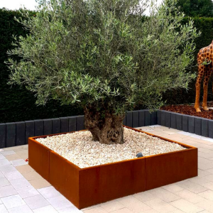 Cortenstaal plantenbak Vierkant XL 180x180 cm H=80 cm ZONDER bodemplaat