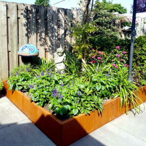 Cortenstaal plantenbak Vierkant XL 180x180 cm H=30 cm ZONDER bodemplaat