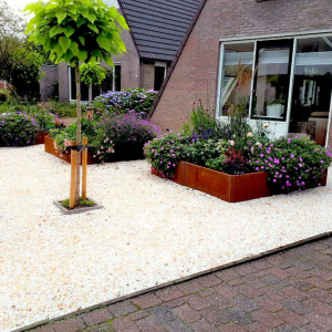 Cortenstaal plantenbak Vierkant XL 200x200 cm H=60 cm ZONDER bodemplaat