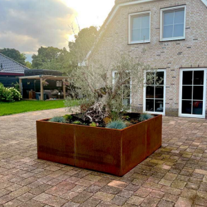 Cortenstaal plantenbak Vierkant XL 300x300 cm H=60 cm ZONDER bodemplaat