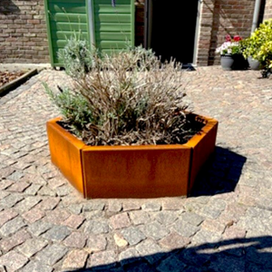 Cortenstaal plantenbak Zeshoek 69.3x79.3 cm H=40 cm ZONDER bodemplaat