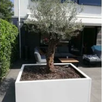 Gepoedercoat staal plantenbak Rechthoek 40x60 H=60 cm - Wit (RAL9010) MET bodemplaat + 4 wielen