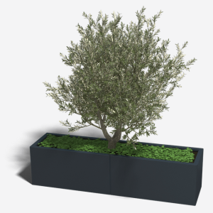 Gepoedercoat staal plantenbak Rechthoek XL 160x40 H=60 cm - Zwart (RAL9005) MET bodemplaat