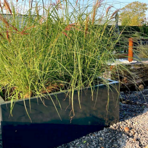 Gepoedercoat staal plantenbak Rechthoek XL 200x40 H=80 cm - Antraciet (RAL7016) MET bodemplaat