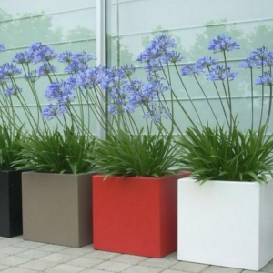 Gepoedercoat staal plantenbak Rechthoek XL 240x50 H=60 cm - Andere RALkleur - MET bodemplaat