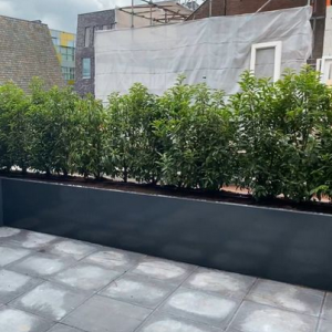 Gepoedercoat staal plantenbak Rechthoek XL 300x50 H=50 cm - Antraciet (RAL7016) ZONDER bodemplaat