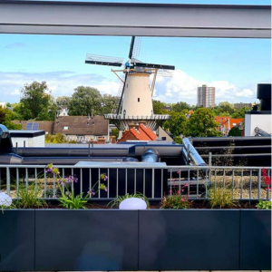 Gepoedercoat staal plantenbak Rechthoek XL 300x80 H=60 cm - Antraciet (RAL7016) MET bodemplaat