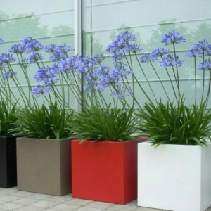 Gepoedercoat staal plantenbak Vierkant Trapmodel 2 stuks 40x40 H=30+60 cm - Andere RALkleur - ZONDER bodemplaat