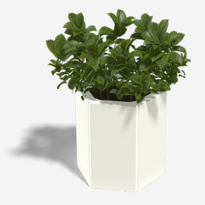 Gepoedercoat staal plantenbak Zeshoek 34.6x39.3 cm H=30 cm - Wit (RAL9010) MET bodemplaat