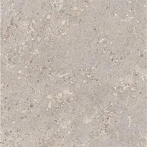 Omnia Devix Greige 60x120x2 cm