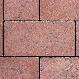 GeoCotto 21x10.5x8 Capo