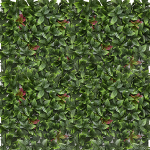 Kunsthaag Laurel  100x100 cm