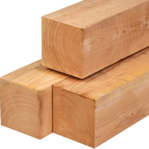 Douglas palen ongedroogd 20x20x300cm fijnbezaagd