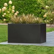 Bloembak Mohawk | zwart gepoedercoat staal 50x90x50 cm
