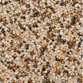 WS StoneBinder Sea Shell