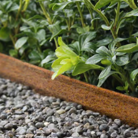 ECCOborders Easyfix recht 100 Corten