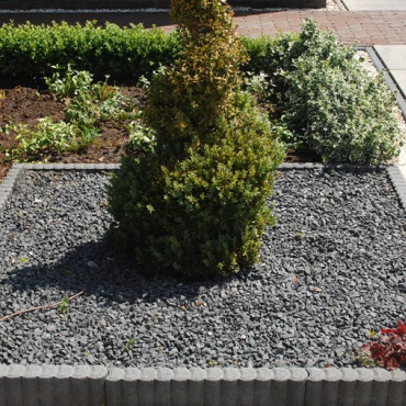 Minirondoband 6x40x50 zwart