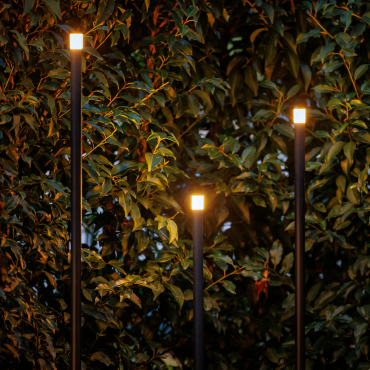 Erba set van 3 (low/mid/high)