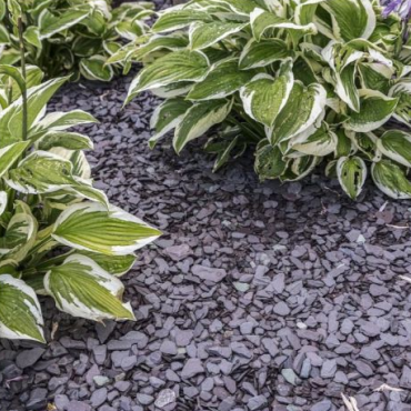 CANADIAN SLATE VIOLET 10-30MM 20KG
