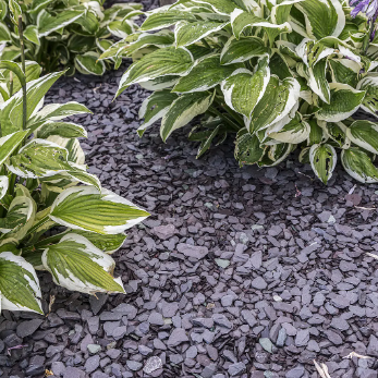 CANADIAN SLATE VIOLET 30-60MM 20KG