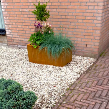 Cortenstaal plantenbak Rechthoek 50x80 H=30 cm MET bodemplaat