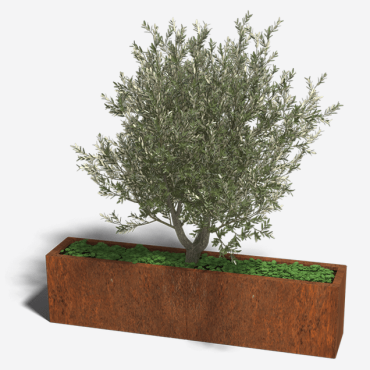 Cortenstaal plantenbak Rechthoek XL 160x30 H=80 cm ZONDER bodemplaat
