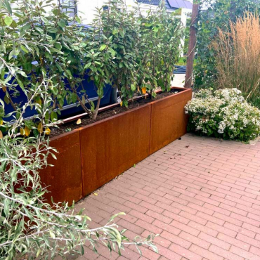 Cortenstaal plantenbak Rechthoek XL 300x30 H=60 cm ZONDER bodemplaat