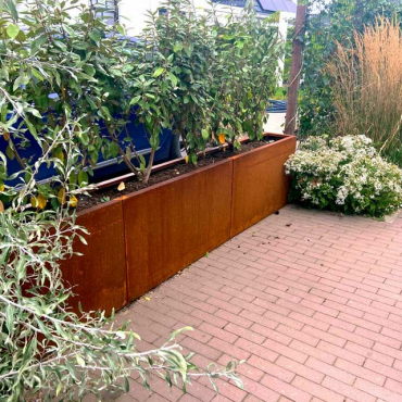 Cortenstaal plantenbak Rechthoek XL 320x30 H=60 cm MET bodemplaat