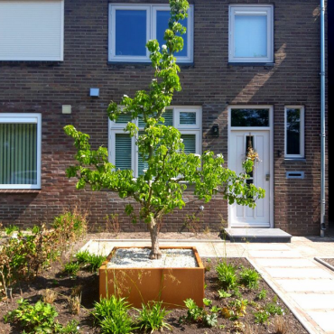 Cortenstaal plantenbak Vierkant 100x100 H=80 cm ZONDER bodemplaat