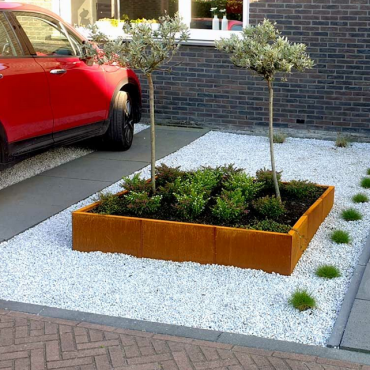 Cortenstaal plantenbak Vierkant XL 150x150 cm H=40 cm ZONDER bodemplaat