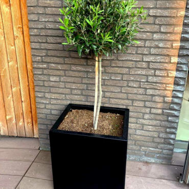Gepoedercoat staal plantenbak Rechthoek 30x40 H=30 cm - Zwart (RAL9005) MET bodemplaat + 4 wielen