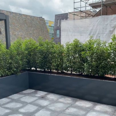 Gepoedercoat staal plantenbak Rechthoek 30x80 H=60 cm - Andere RALkleur - MET bodemplaat + (8) voeten