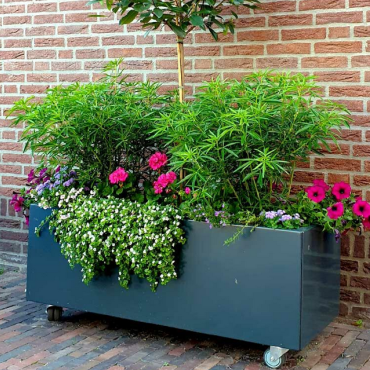 Gepoedercoat staal plantenbak Rechthoek 50x120 H=60 cm - Antraciet (RAL7016) MET bodemplaat