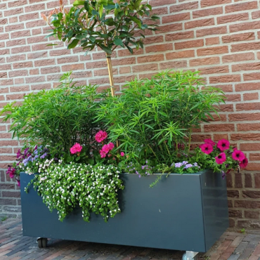 Gepoedercoat staal plantenbak Rechthoek XL 150x50 H=80 cm - Andere RALkleur - MET bodemplaat