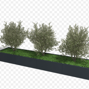 Gepoedercoat staal plantenbak Rechthoek XL 240x120 H=80 cm - Zwart (RAL9005) ZONDER bodemplaat