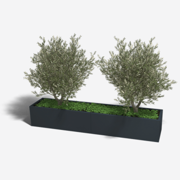 Gepoedercoat staal plantenbak Rechthoek XL 240x50 H=40 cm - Zwart (RAL9005) MET bodemplaat
