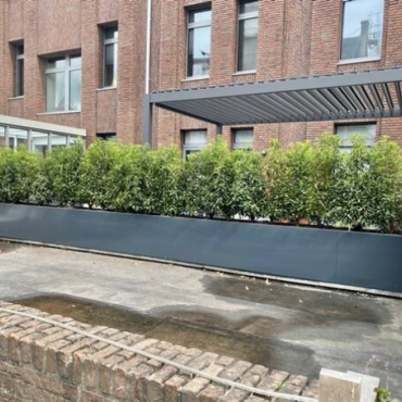 Gepoedercoat staal plantenbak Rechthoek XL 320x40 H=60 cm - Antraciet (RAL7016) ZONDER bodemplaat