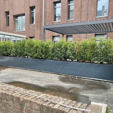 Gepoedercoat staal plantenbak Rechthoek XL 320x80 H=80 cm - Antraciet (RAL7016) MET bodemplaat