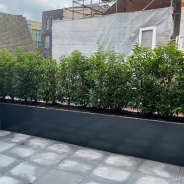 Gepoedercoat staal plantenbak Rechthoek XL 360x50 H=80 cm - Antraciet (RAL7016) MET bodemplaat