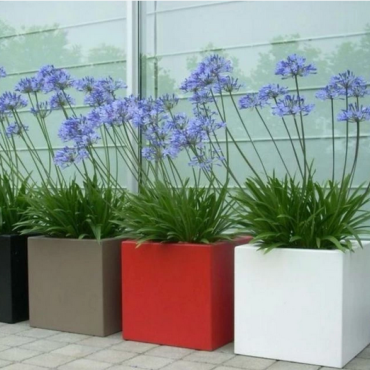 Gepoedercoat staal plantenbak Rechthoek XL 400x100 H=80 cm - Andere RALkleur - MET bodemplaat
