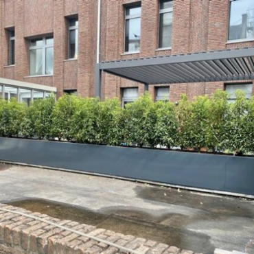 Gepoedercoat staal plantenbak Rechthoek XL 480x100 H=80 cm - Antraciet (RAL7016) ZONDER bodemplaat