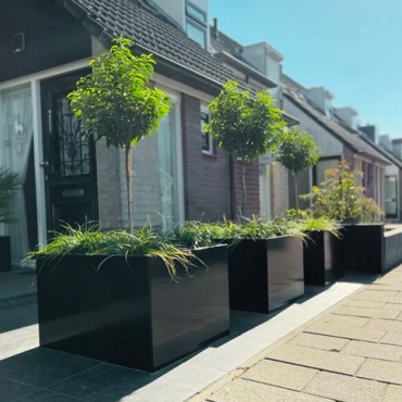 Gepoedercoat staal plantenbak Rechthoek XL 500x50 H=80 cm - Zwart (RAL9005) MET bodemplaat