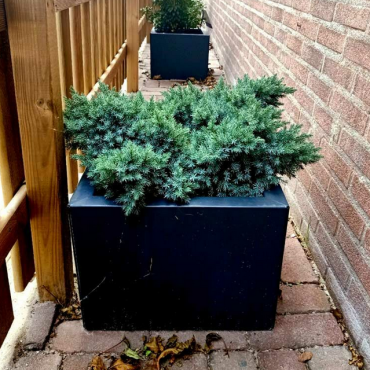 Gepoedercoat staal plantenbak Vierkant 40x40 H=30 cm ZONDER bodemplaat - Zwart (RAL9005)