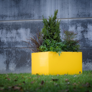 Gepoedercoat staal plantenbak Vierkant 70x70 H=70 cm ZONDER bodemplaat - Andere RALkleur
