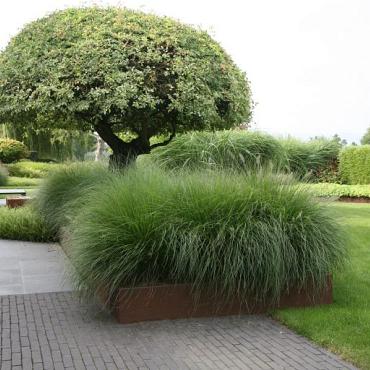 Borderpaneel flex 220x56 cm Corten