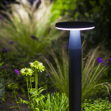 Disc Low Black 35 cm *SET*