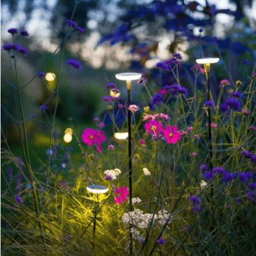 Sway Black + tube LOW 60 cm *SET*