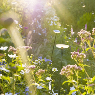 Sway Pearl Grey + tube LOW 60 cm *SET*