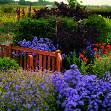 Keruing massief hek 21 90x180cm